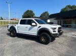 2018 Ford F-150 Raptor Pic 2824_V20250604151427