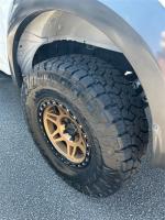 2018 Ford F-150 Raptor Pic 2824_V202506041514276