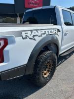 2018 Ford F-150 Raptor Pic 2824_V202506041514277
