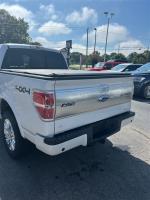 2013 Ford F-150 Platinum Crew 4X4 Pic 2824_V202506141247184