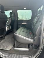 2017 Ford F-250 Sd Pic 2824_V202506241021079
