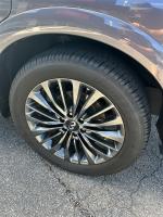 2024 Infiniti Qx80 Pic 2824_V202507290949455