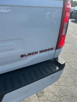 2021 Ford F-150 Black Widow Crew Cab 4X4 Pic 2824_V202508271701285