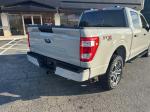 2023 Ford F-150 Pic 2824_V202510070922244
