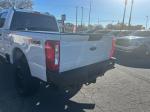 2024 Ford F-250 Sd Pic 2824_V202511080904044
