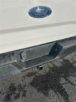 2017 Ford F-150 Pic 2824_V202601231446306