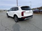 2021 Kia Telluride Pic 2825_V2024112518322000043