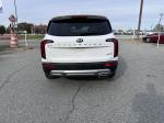 2021 Kia Telluride Pic 2825_V2024112518322000044