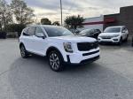 2021 Kia Telluride Pic 2825_V2024112518322000047