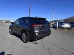 2019 Toyota Rav4 Pic 2825_V2025010218331200003