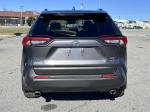 2019 Toyota Rav4 Pic 2825_V2025010218331200004