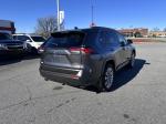 2019 Toyota Rav4 Pic 2825_V2025010218331200005