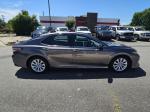 2019 Toyota Camry Pic 2825_V2025052314323200006