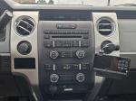2014 Ford F150 Pic 2825_V20250531103219000116