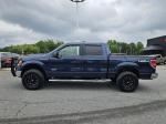 2014 Ford F150 Pic 2825_V2025053110321900012