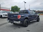 2014 Ford F150 Pic 2825_V2025053110321900015