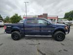 2014 Ford F150 Pic 2825_V2025053110321900016