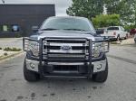 2014 Ford F150 Pic 2825_V2025053110321900018