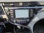 2019 Toyota Camry Pic 2825_V20250623123247000113