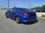 2021 Honda Civic Pic 2825_V2025062319330000003