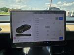 2020 Tesla Model 3 Pic 2825_V20250722123235000010