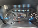 2019 Ford F150 Pic 2825_V20250811163234000212