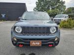 2016 Jeep Renegade Pic 2825_V2025083112333000008