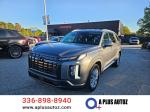 2025 Hyundai Palisade Pic 2825_V202510220500070000