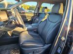 2025 Hyundai Palisade Pic 2825_V20251022050007000019