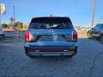 2025 Hyundai Palisade Pic 2825_V2025102205000700004