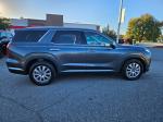2025 Hyundai Palisade Pic 2825_V2025102205000700006