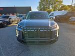 2025 Hyundai Palisade Pic 2825_V2025102205000700008