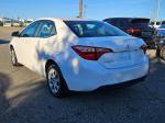 2019 Toyota Corolla Pic 2825_V2025102205001500023