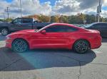 2018 Ford Mustang Pic 2825_V2025110405001200012