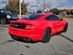 2018 Ford Mustang Pic 2825_V2025110405001200014