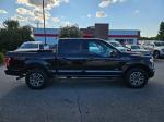 2016 Ford F-150 Pic 2825_V2025121705000600006
