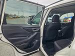2020 Subaru Forester Pic 2825_V20251218050008000017