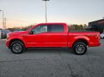 2020 Ford F-150 Pic 2825_V2026012305001100022