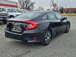 2017 Honda Civic Pic 2825_V2026022005123800025