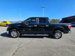 2012 Ford F-150 Pic 2825_V2026022105000500002