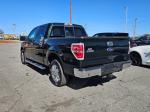 2012 Ford F-150 Pic 2825_V2026022105000500003