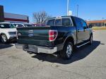 2012 Ford F-150 Pic 2825_V2026022105000500005
