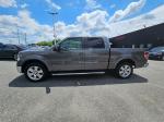 2013 Ford F-150 Pic 2825_V2026060205000700002