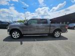 2013 Ford F-150 Pic 2825_V2026060205000700003