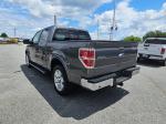 2013 Ford F-150 Pic 2825_V2026060205000700004