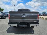 2013 Ford F-150 Pic 2825_V2026060205000700005