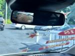 2018 Ford Transit Pic 2827_V2025051310521915