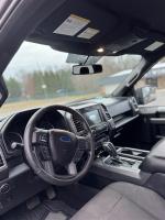 2016 Ford F-150 Pic 2828_V2025013013125813