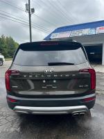 2020 Kia Telluride Pic 2833_V202409160803408