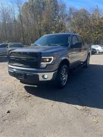 2014 Ford F-150 Pic 2833_V202411091202382